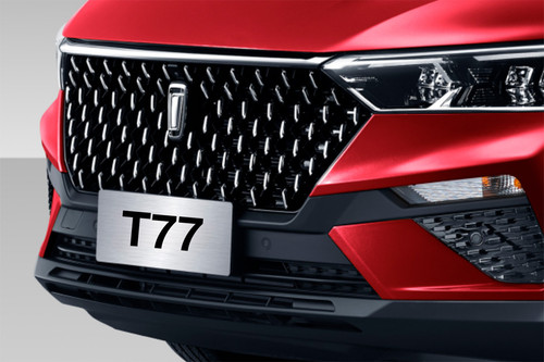 T77 Grille View