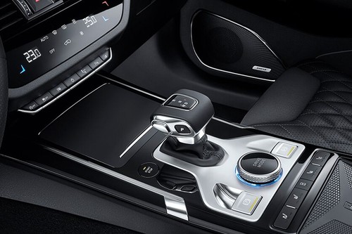 Hongqi HS5 (2022-2024) Gear Shifter