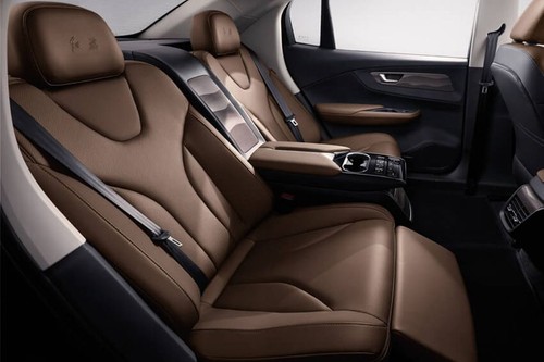 E-QM5 Rear Seat Head rest