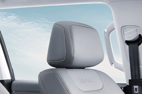 BJ40 Pro Front Seat Headrest