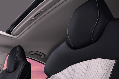 EU5 Plus Front Seat Headrest