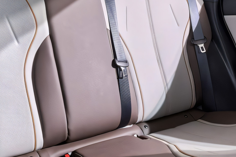 Qin Plus Seat Belt