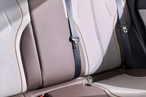 Qin Plus Seat Belt