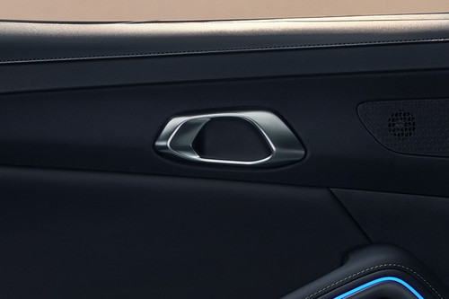 door handle interior of BYD ATTO 2