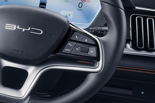 BYD Sealion 6 Multi Function Steering
