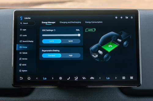 Stereo View of Shark 6