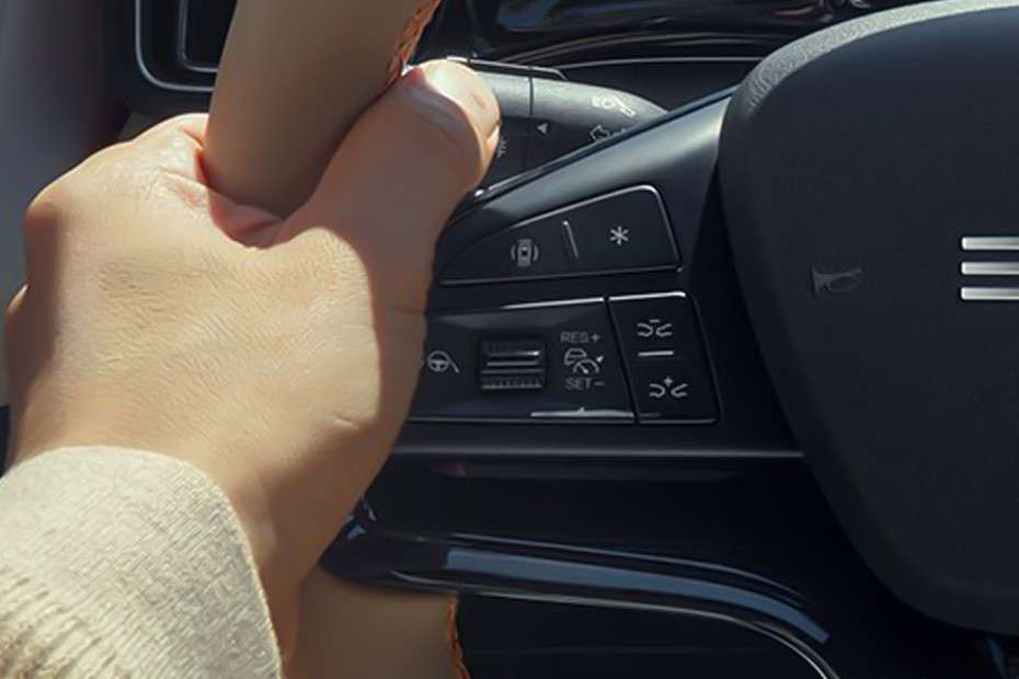 BYD Sealion 5 Multi Function Steering