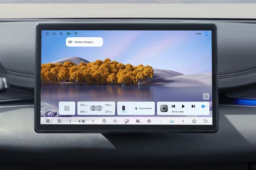 Stereo View of Seal 6