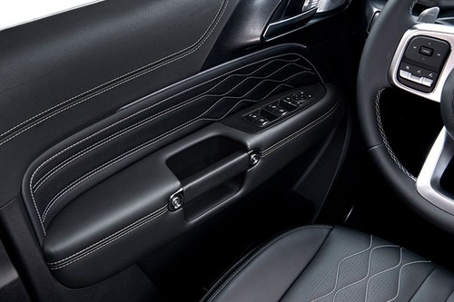 Tank 300 Drivers Side In Side Door Controls