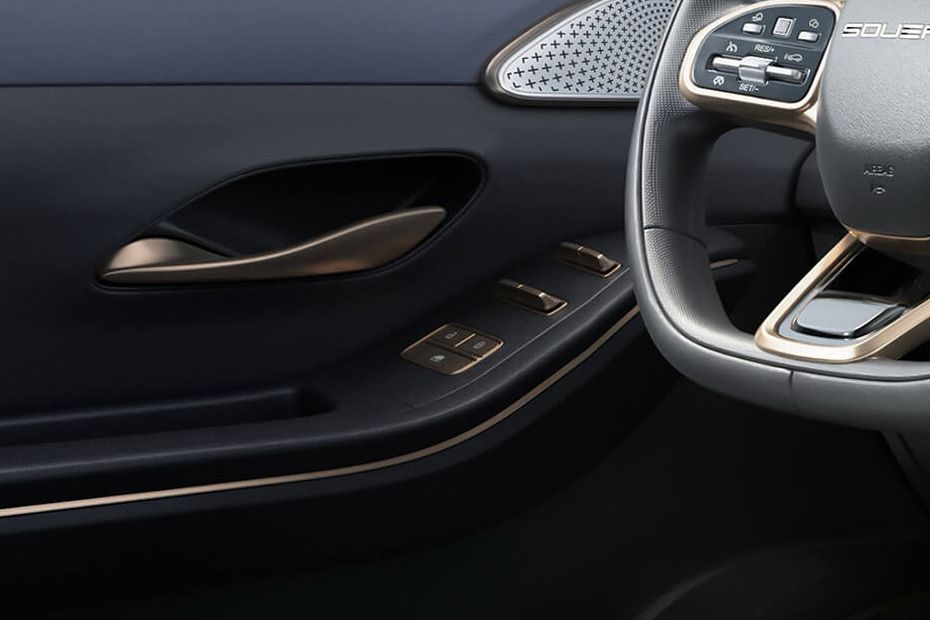 SOUEAST S09 Drivers Side In Side Door Controls