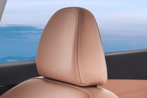 VX7 Front Seat Headrest