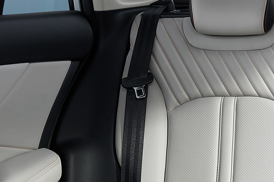 Shine Max Seat Belt