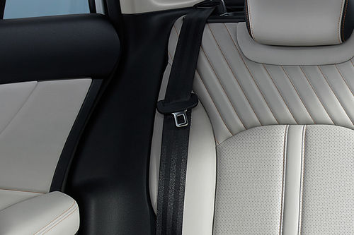 Shine Max Seat Belt