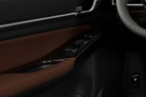 FOTON Tunland Drivers Side In Side Door Controls