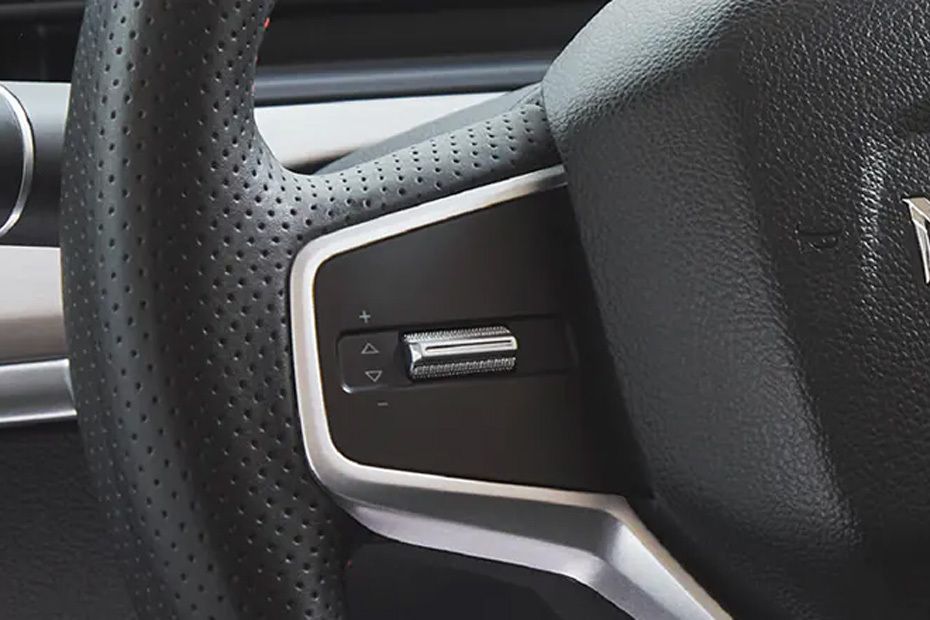 NETA V Multi Function Steering