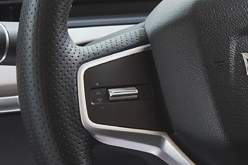 NETA V Multi Function Steering