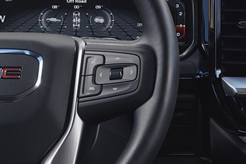 GMC Sierra LD Multi Function Steering