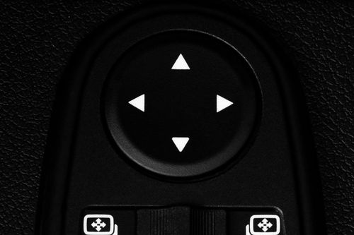 Lada Niva Bronto Drivers Side In Side Door Controls