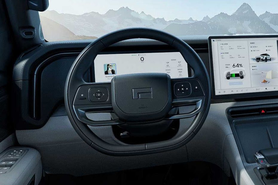 ROX 01 Steering Wheel