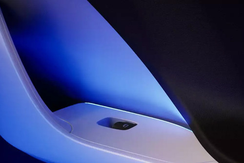 Smart 1 Drivers Side In Side Door Controls