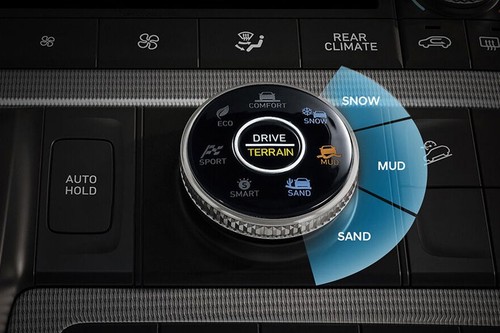 Center Controls of Hyundai Palisade (2022-2024)