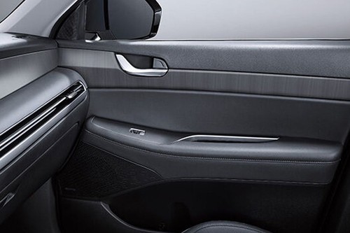 Hyundai Palisade (2022-2024) Passengers View