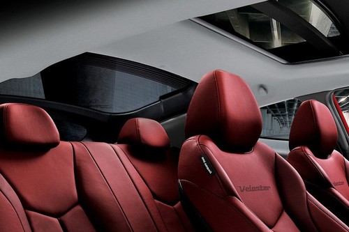 Veloster Front Seat Headrest