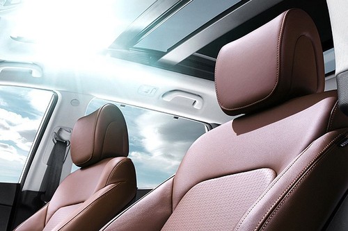 Santa Fe (2012-2021) Rear Seat Head rest