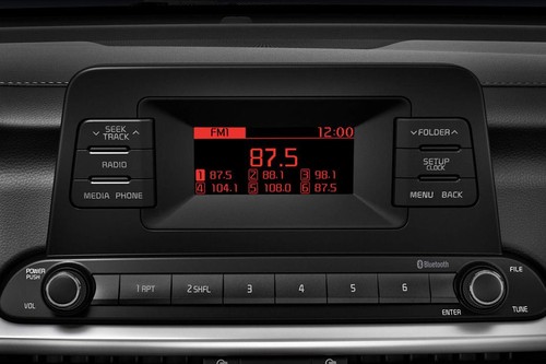 Stereo View of Cerato