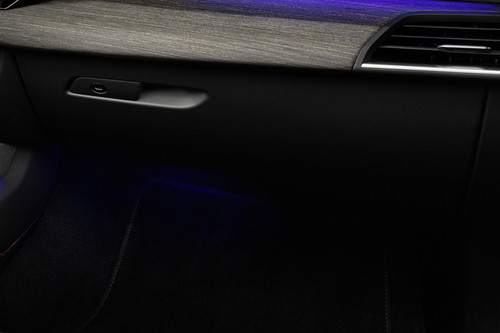 Audi S E-Tron GT Glove Box