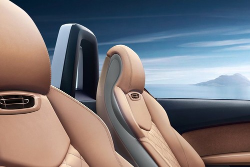 TT Roadster Front Seat Headrest