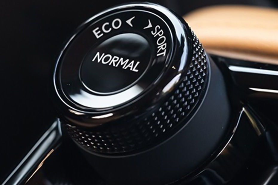Center Controls of Lexus NX Hybrid