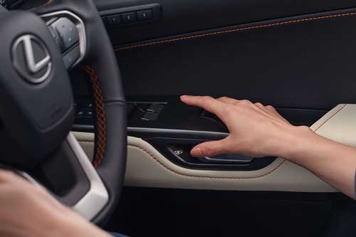 Lexus NX Hybrid Drivers Side In Side Door Controls