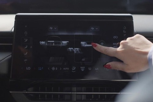 Stereo View of Nautilus