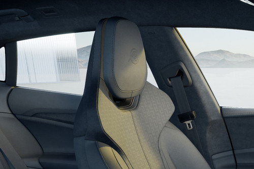 Emeya Front Seat Headrest