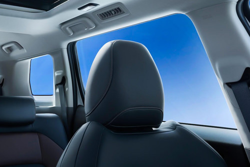 Destinator Front Seat Headrest