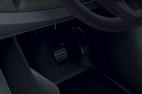 Twizy Richbrook Competition Foot Pedal Set