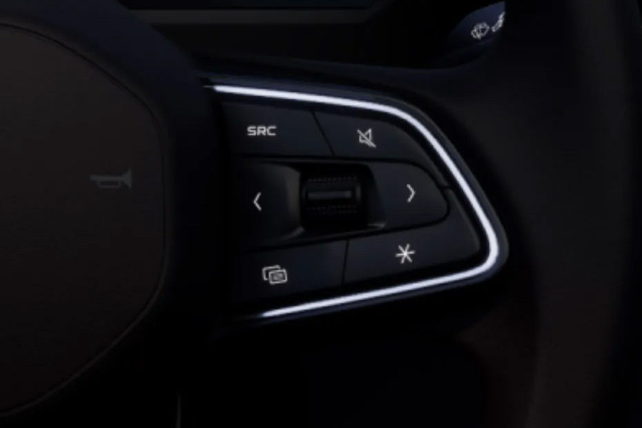 Renault Koleos Multi Function Steering