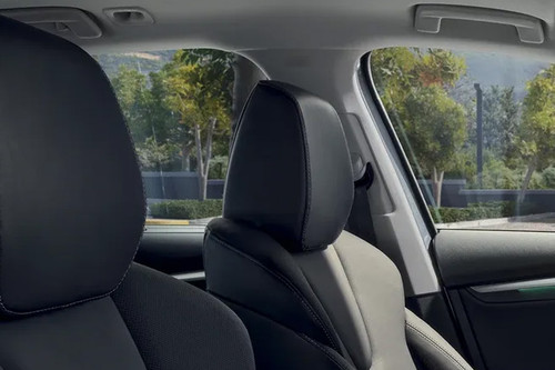 Octavia Front Seat Headrest