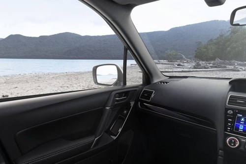 Subaru Forester (2012-2021) Passengers View
