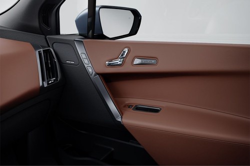 door handle interior of BMW IX 2026