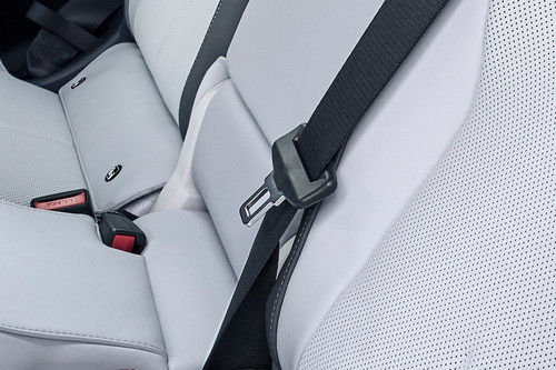IX3 Seat Belt