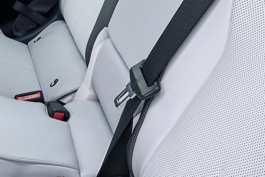 IX3 Seat Belt