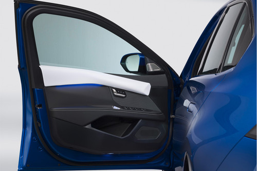 BMW i3 Inside Of Drivers Side Open Door
