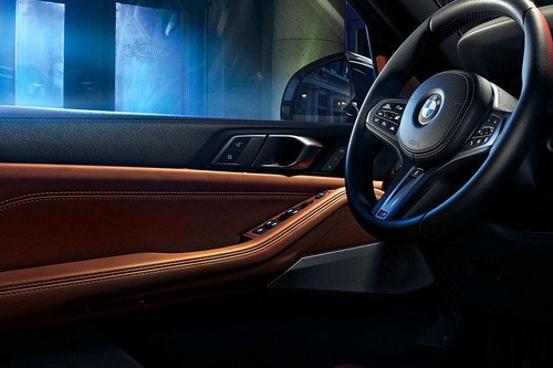 BMW X5 (2022-2023) Drivers Side In Side Door Controls