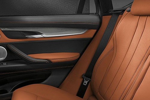 X6 M Seat Belt