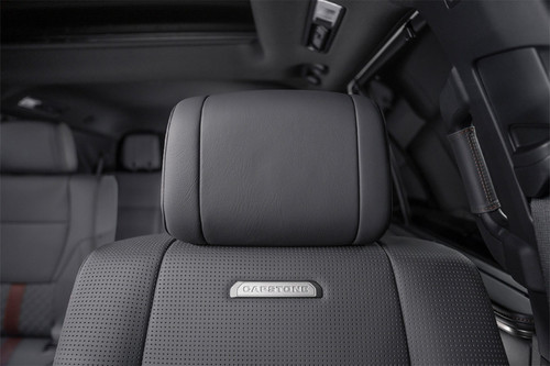 Sequoia Front Seat Headrest