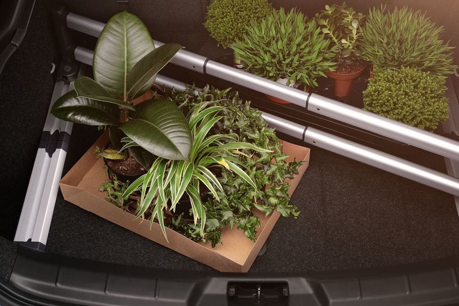 Storage Closer View of Volvo V40