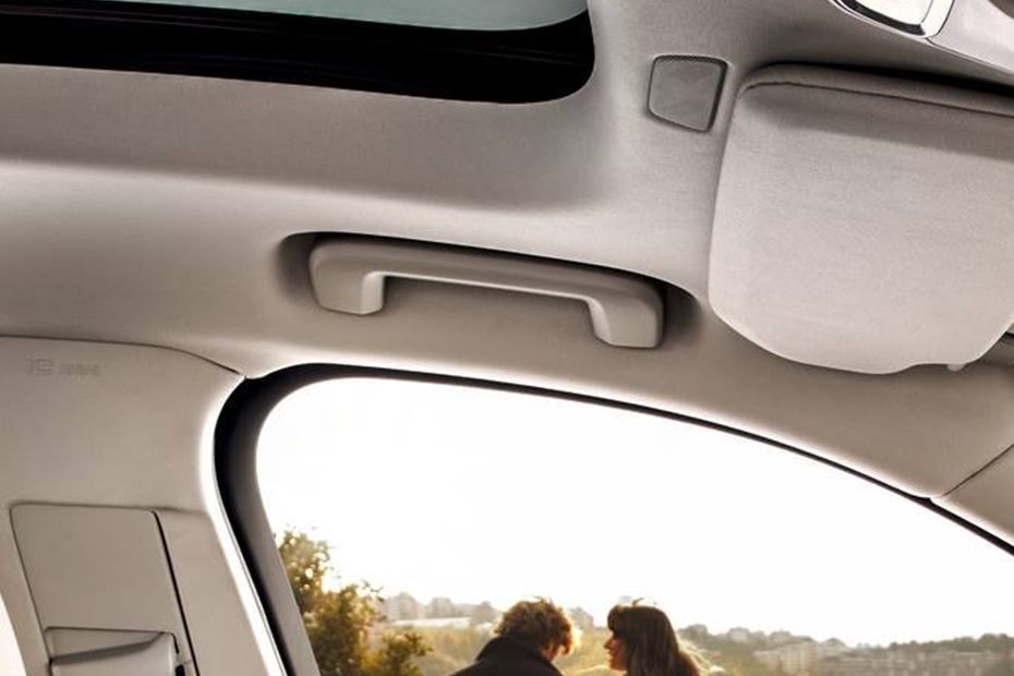 Volvo XC90 (2022-2022) Inside Handle