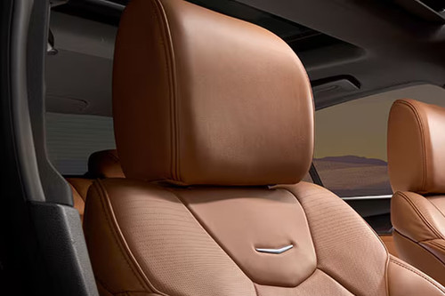 CT5 Front Seat Headrest